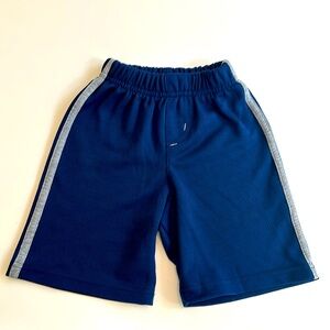 Paw Patrol Nickelodeon Blue with Gray Strip Boys Shorts